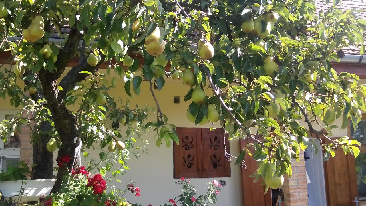 מלון Kisnána Bari Tanya מראה חיצוני תמונה